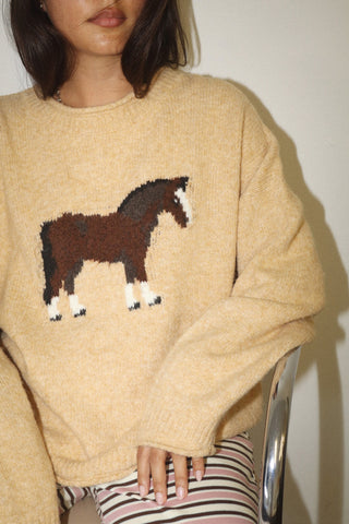 REIN ME IN HORSE SWEATER