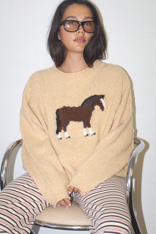 REIN ME IN HORSE SWEATER