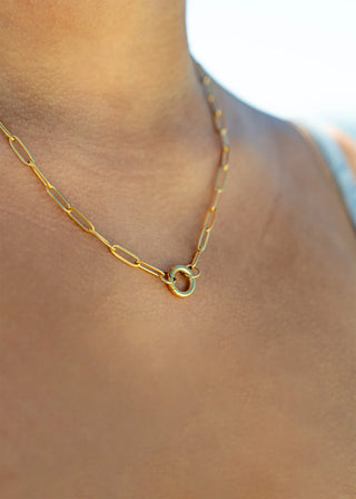 CHAIN WITH CARABINER