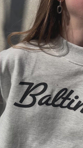 Baltimore_mock_neck_sweatshirt